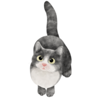 aguarela ilustração do fofa gatinho. png