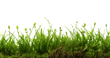 verde erba lato Visualizza, generativo ai generato png