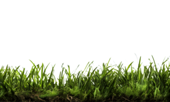 grass side view, generated png