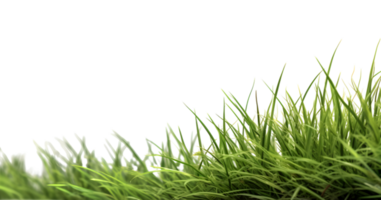 bevuxen grön gräs, generativ ai genererad png