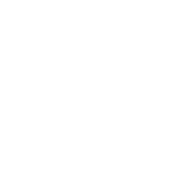 Best Lion Silhouette - png