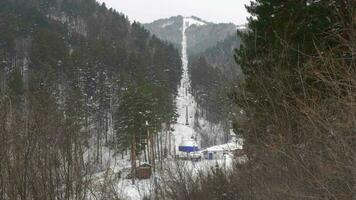 Cableway in the Belokurikha resort. Tserkovka mountain video