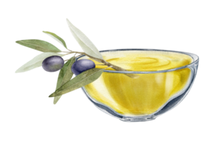 en skål av oliv olja. oliv träd gren, löv och frukter.liv. en skål av grön oliver. vegetarian organisk mat. vattenfärg hand dragen illustration. isolerat. för meny, förpackning design png