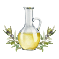 Bottle of olive oil, olive branches, leaves and fruits. Fresh organic extra virgin olive oil. Glass jug with oil. Watercolor hand drawn illustration. For menu, packaging design png