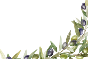 Olive Geäst, Blätter und Früchte. Kranz von Geäst Olive Baum. Aquarell Hand gezeichnet Illustration. zum Speisekarte, Verpackung Design, Hochzeit Einladung, speichern das Datum oder Gruß Karte. png