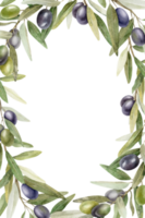 oliv grenar, löv och frukter. krans av grenar oliv träd. vattenfärg hand dragen illustration. för meny, förpackning design, bröllop inbjudan, spara de datum eller hälsning kort. png