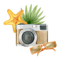 Brown vintage photo camera, orange starfish, sunglasses and palm leaf. Travel. Tourism. Summer vacation. Watercolor illustration. Isolated. For postcards, marketing, invitations, and scrapbooking. png