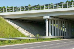 concrete columns like pillars of an automobile bridge photo