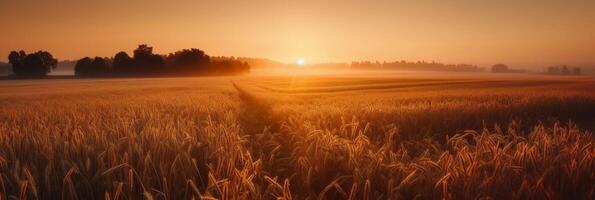 hermosa vistoso natural panorámico paisaje con un campo de maduro trigo en el rayos de ajuste Dom. natural puesta de sol en dorado y rosado colores. ai generativo foto