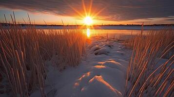 Sunset above the reeds at the edge of the lake. photo