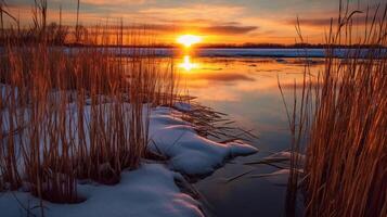 puesta de sol encima el cañas a el borde de el lago. ai generativo foto