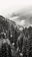 Mountain forest with mist and fog. photo