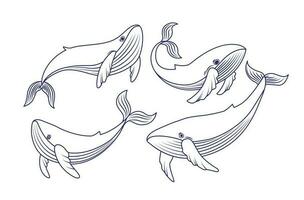 Vector drawing set with whales