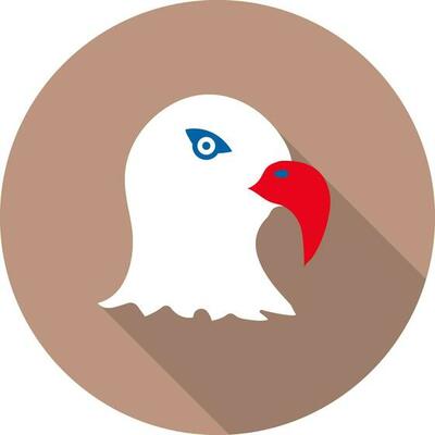 Eagle Face Icon On Brown Background.