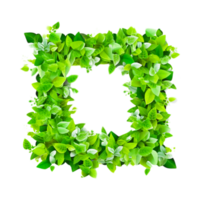 Nature plants frame png