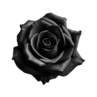 Rose tenda nero ai generato png