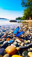 blue transparent pebbles on the beach. photo