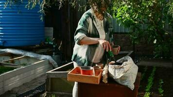 4K video pregnant woman, amateur gardener puts some fertile soil into peat pots before sowing seeds. Female farmer cultivates organic vegetables in her allotment garden. Springtime Sowing Harvesting