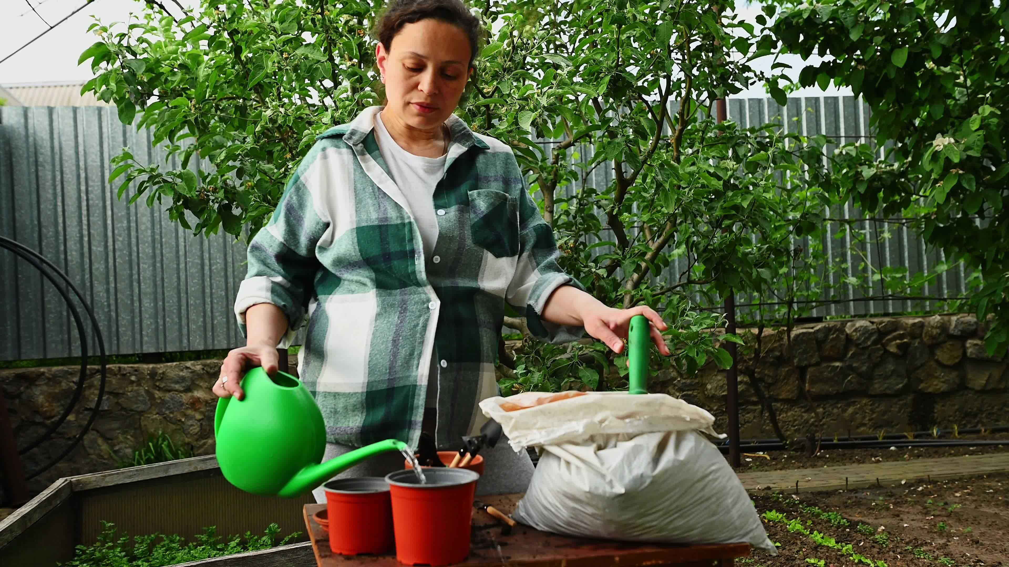 Adult pregnant woman amateur farmer using watering can, pouring some