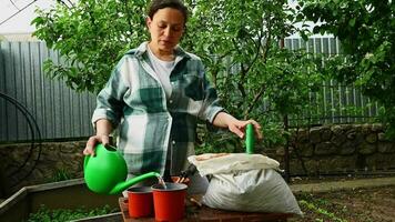 Adult pregnant woman amateur farmer using watering can, pouring some water into pots while working in eco farm, sowing seeds and planting seedlings, enjoying agricultural hobby. Eco farming. Gardening video