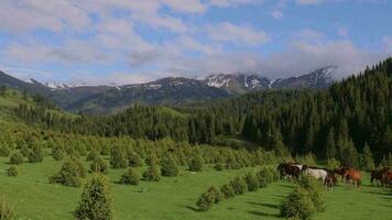 montagnes et Naturel paysages de Kirghizistan video