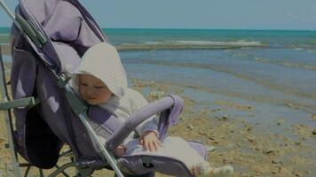 Small Child Is Sitting In A Stroller On The Seashore video