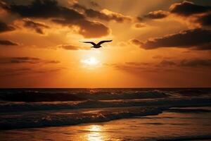 A flying seagull silhouette in sunset sky and beach. photo