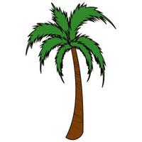 Green And Brown Palm Or Coconut Tree On White Background. vector