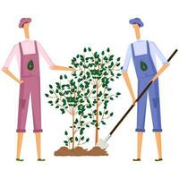 Two Man Gardening Together On White Background. vector