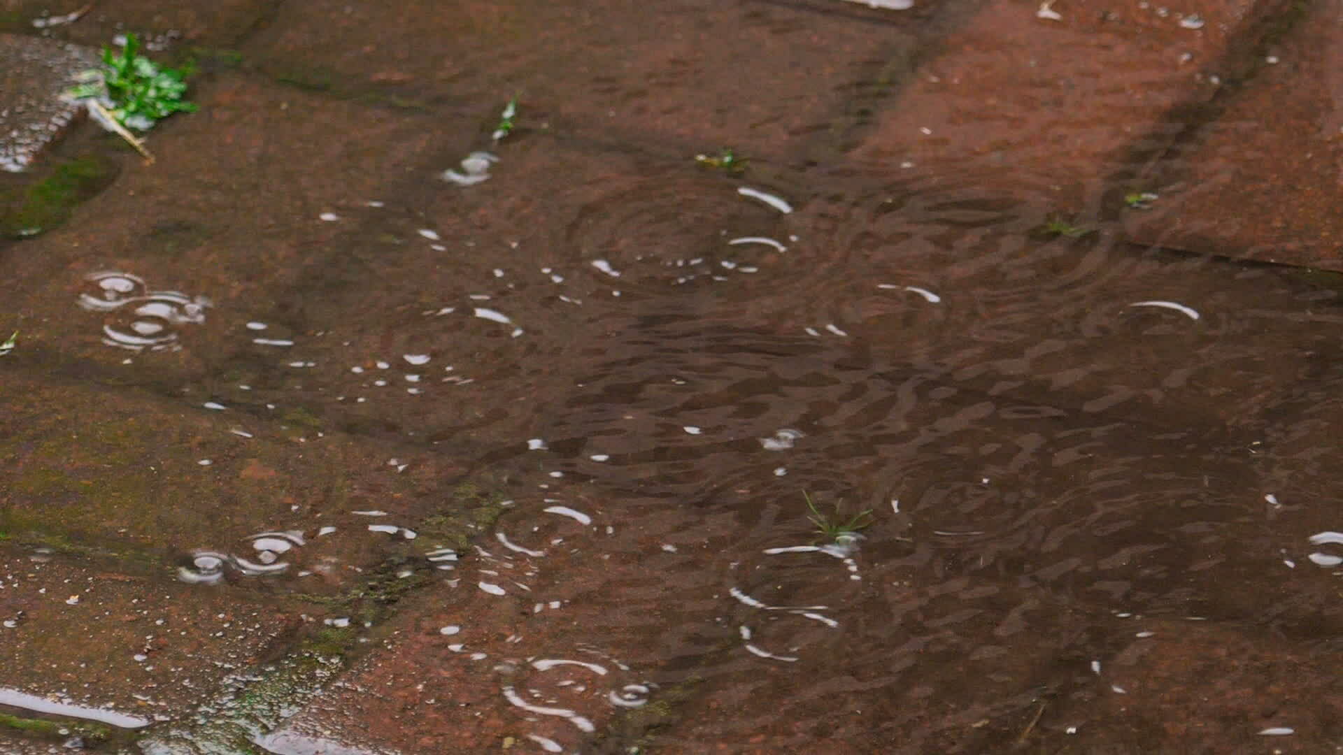 Falling raindrops into puddle, slow motion 24197768 Stock Video at Vecteezy