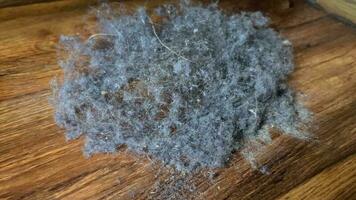 un pila de polvo, suciedad y pelo mentiras en un de madera piso durante limpieza. video