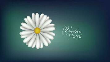 abstract floral vector bg white daisy flowers spring nature background