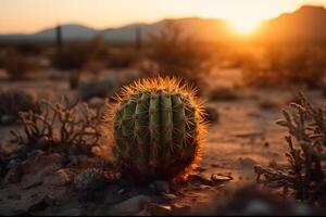 parte superior ver de exótico cactus en desierto. neural red ai generado foto