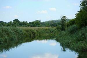 Sunny spring morning on meadow near river photo