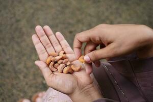 rear view of women hand pick nuts photo