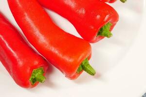 red hot pepper on white background photo