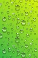 Water drops on a green background. photo