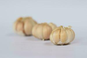 garlic on a white background photo