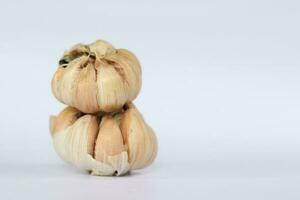 garlic on a white background photo