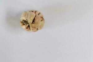 garlic on a white background photo