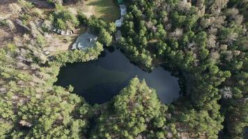 Lake surrounded by trees. Beautiful landscape in aerial drone shot. photo