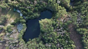 lago rodeado por arboles hermosa paisaje en aéreo zumbido disparo. foto