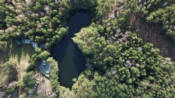 lago rodeado por arboles hermosa paisaje en aéreo zumbido disparo. foto