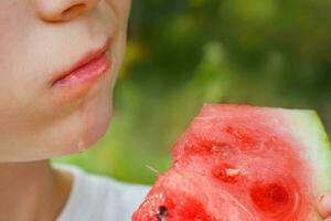 child boy eating a slice of watermelon on a background of green grass photo