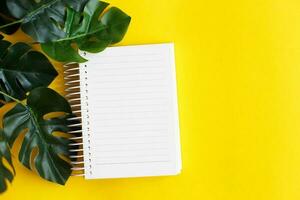 Top view of blank note paper and monstera leaf on yellow background photo