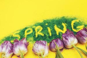 The inscription Spring from decorative green grass on a yellow background with a watering can and flowers tulips photo