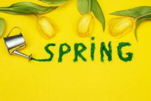 The inscription Spring from decorative green grass on a yellow background with a watering can and flowers tulips photo