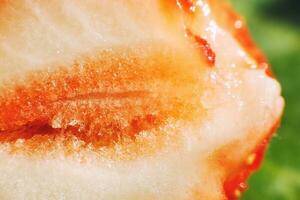 strawberry cut in half. strawberry core. half of a strawberry on a green background photo