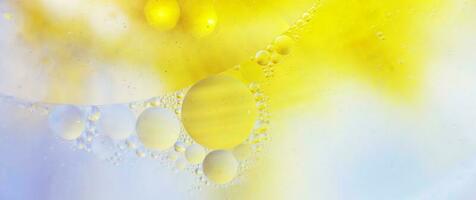 Gold Oil bubbles close up. circles of water macro. abstract shiny yellow and blue background. banner photo
