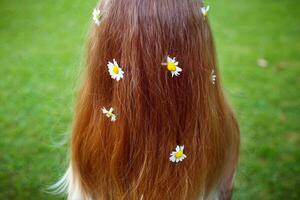 pelo rojo saludable sobre un fondo de hierba verde con flores de manzanilla foto
